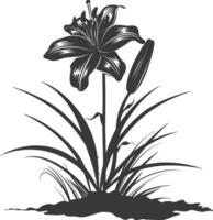 AI generated Silhouette Lily flower in the ground black color only vector