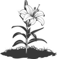 AI generated Silhouette Lily flower in the ground black color only vector