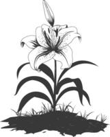 AI generated Silhouette Lily flower in the ground black color only vector