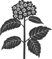 AI generated Silhouette lantana flower black color only vector