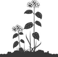 AI generated Silhouette lantana flower in the ground black color only vector