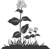 AI generated Silhouette lantana flower in the ground black color only vector