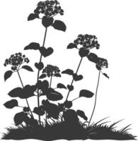 AI generated Silhouette lantana flower in the ground black color only vector