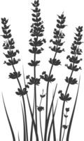 AI generated Silhouette lavender flower black color only vector