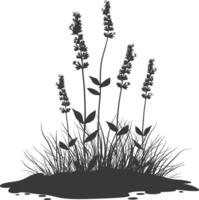 AI generated Silhouette lavender flower in the ground black color only vector