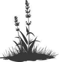 AI generated Silhouette lavender flower in the ground black color only vector