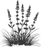 AI generated Silhouette lavender flower in the ground black color only vector