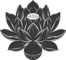 AI generated Silhouette lotus flower black color only vector