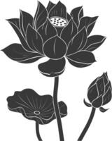 AI generated Silhouette lotus flower black color only vector