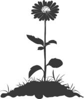 AI generated Silhouette marigold flower in the ground black color only vector