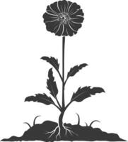 AI generated Silhouette marigold flower in the ground black color only vector