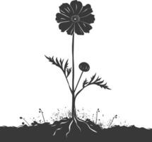 AI generated Silhouette marigold flower in the ground black color only vector