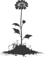 AI generated Silhouette marigold flower in the ground black color only vector