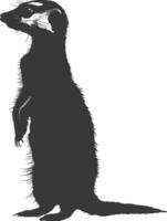 AI generated Silhouette meerkat animal black color only vector