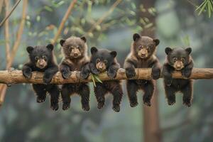 AI generated Bear Baby group of animals hanging out on a branch, cute, smiling, adorable photo