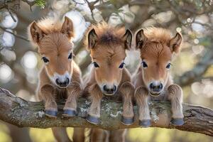 ai generado caballo bebé grupo de animales colgando fuera en un rama, lindo, sonriente, adorable foto