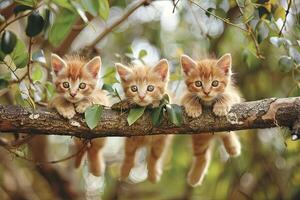 ai generado gatito gato bebé grupo de animales colgando fuera en un rama, lindo, sonriente, adorable foto