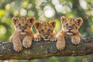 ai generado león bebé grupo de animales colgando fuera en un rama, lindo, sonriente, adorable foto