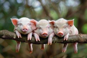 ai generado cerdo bebé grupo de animales colgando fuera en un rama, lindo, sonriente, adorable foto