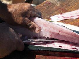 mahi mahi dorado pescado en pescador limpieza mesa baja California sur mexico foto