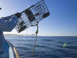 fishing with lobster pot in mexico photo