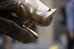 Detail of Hand touching good luck copper pig statue in Florence rite of fortune you have to rub a coin on the nose of wild boar and then drop it into the manhole cover of the porcellino fountain photo