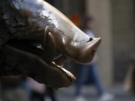 detalle de mano conmovedor bueno suerte cobre cerdo estatua en florencia rito de fortuna usted tener a frotar un moneda en el nariz de salvaje Jabali y luego soltar eso dentro el agujero de hombre cubrir de el porcellino fuente foto