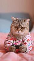 AI generated Felidae Carnivore Cat in pajamas playing video game on bed photo