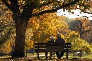 AI generated an elderly couple sits on a park bench under a tree photo