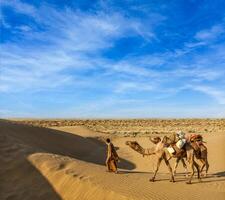 Cameleer camel driver with camels in dunes of Thar desert. Rajasthan, India photo