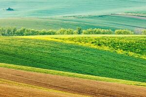 Moravian rolling landscape photo