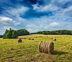 Hay bales on field photo