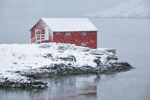 rojo rorbu casa en invierno, lofoten islas, Noruega foto