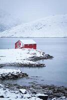 Red rorbu house in winter, Lofoten islands, Norway photo