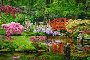 Japanese garden, Park Clingendael, The Hague, Netherlands photo