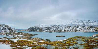 Panorama of norwegian fjord, Lofoten islands, Norway photo