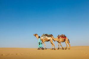 Cameleer camel driver with camels in Rajasthan, India photo