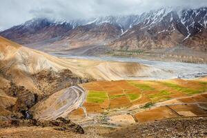 Fields in Spiti Valley photo