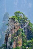 zhangjiajie montañas, China foto
