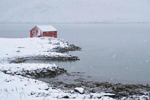 Red rorbu house in winter, Lofoten islands, Norway photo