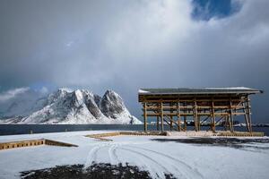 Drying flakes for stockfish cod fish in winter. Lofoten islands, photo