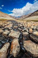 Mountain stream with stones in Himalayas photo
