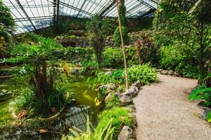 el frío casa estufa Fría es un invernadero con jardines, estanques, plantas y arboles en Lisboa, Portugal foto