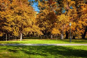 Autumn in park photo