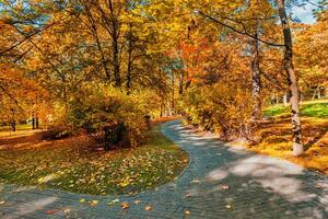 otoño en el parque foto