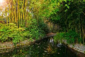 Park in Chengdu, China photo