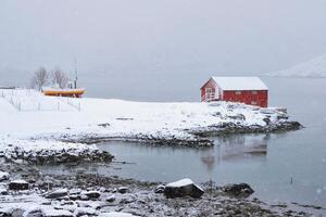 Red rorbu house in winter, Lofoten islands, Norway photo