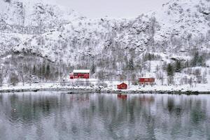 Red rorbu houses in Norway in winter photo