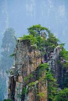 zhangjiajie montañas, China foto