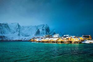 amarillo rorbu casas, lofoten islas, Noruega foto